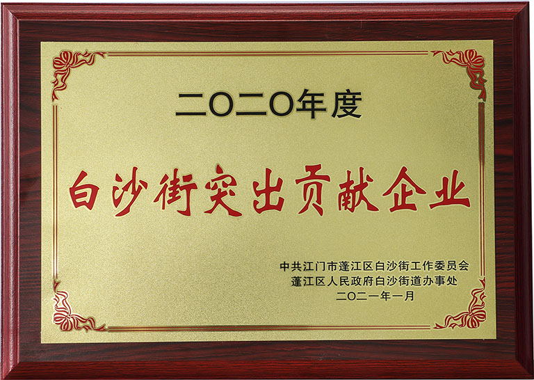 白沙街凸起贡献企业 （网站用).jpg